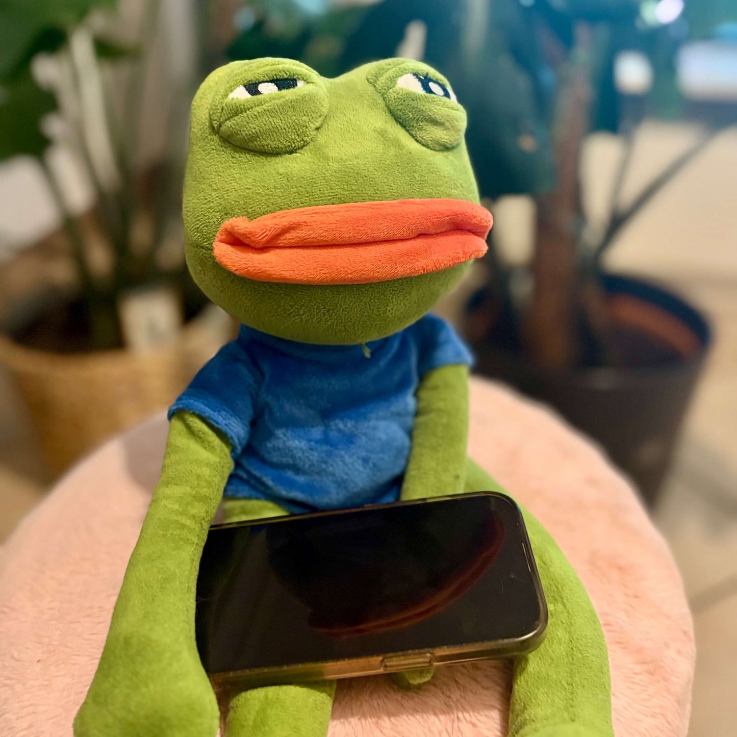 Adotta Gigi - Il ranocchio più tenero del Web!