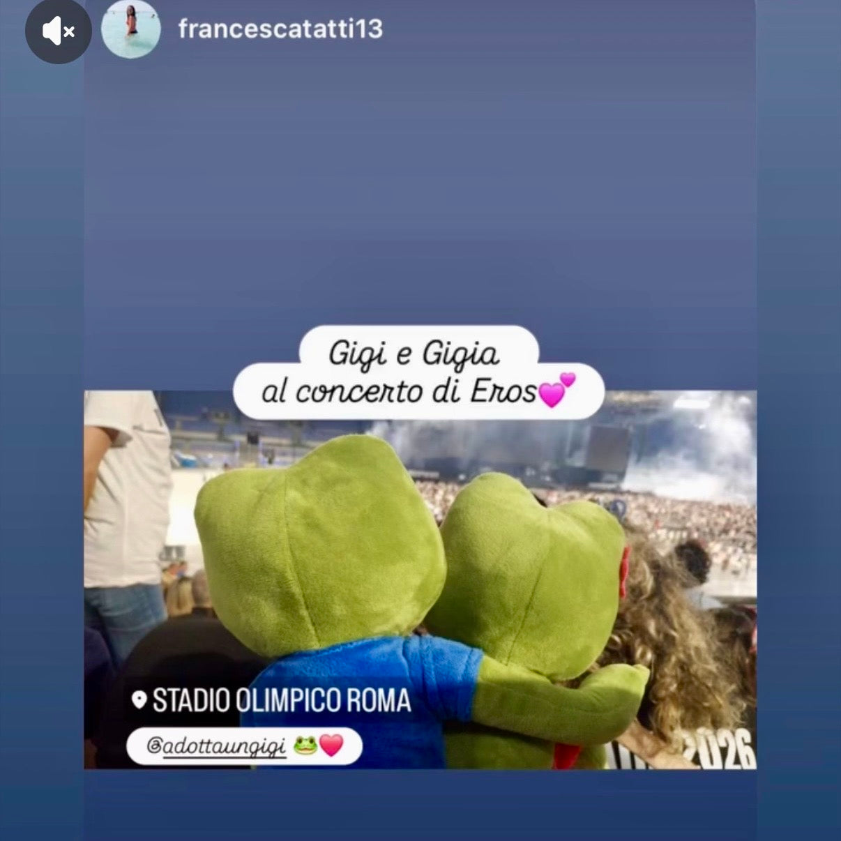 AdottaUnGigi, i Mini!