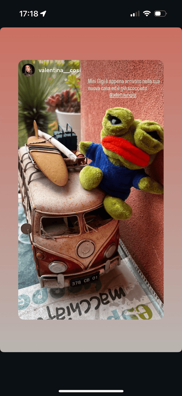 UGC Story