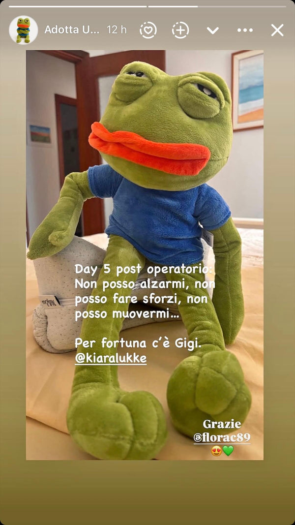UGC Story