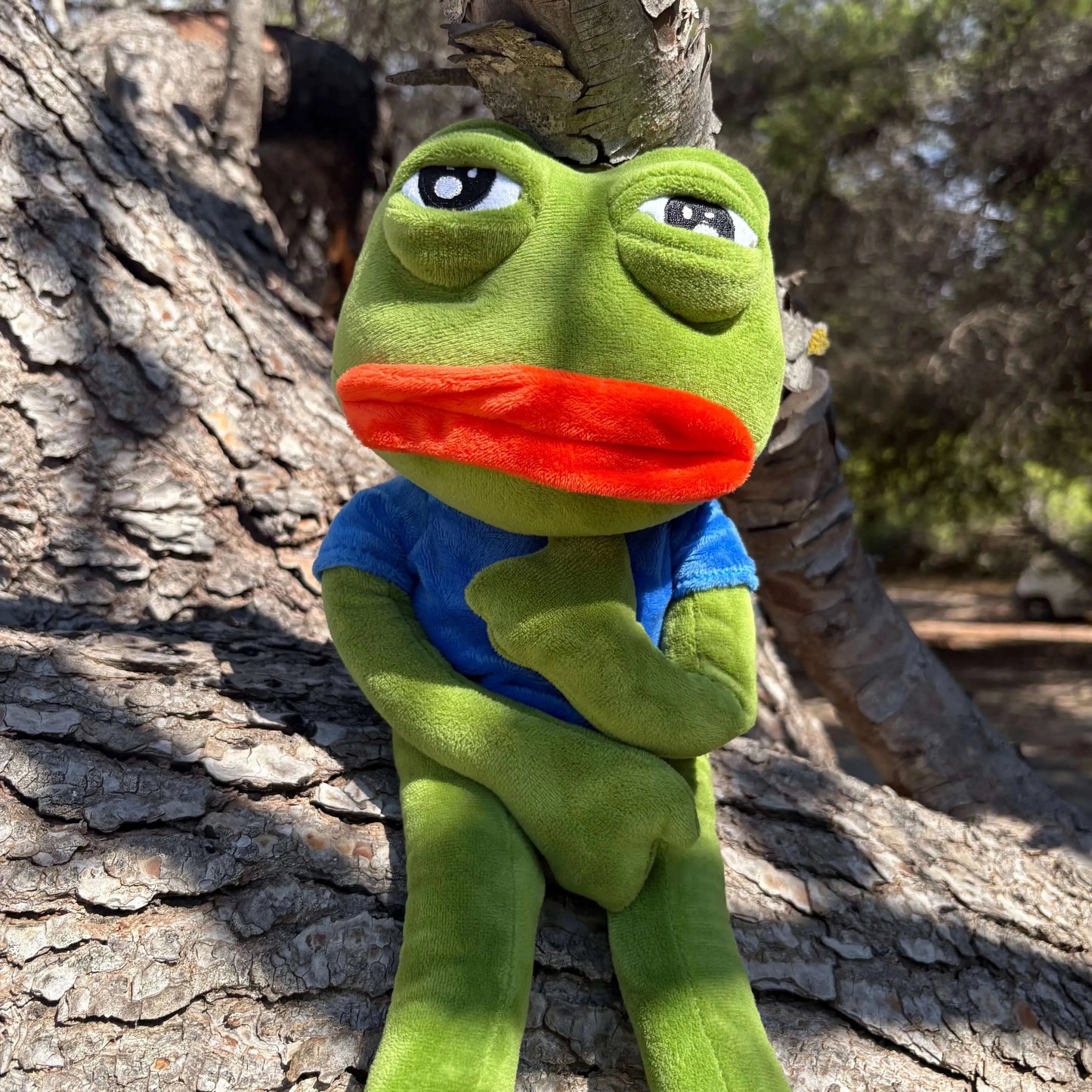 Peluche Gigi rana 45 cm – vista frontale