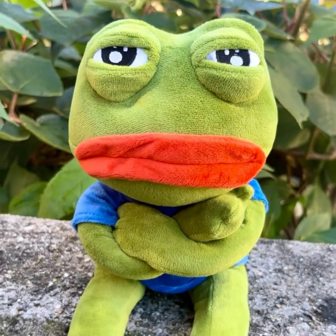 Peluche Gigi rana 45 cm – vista frontale